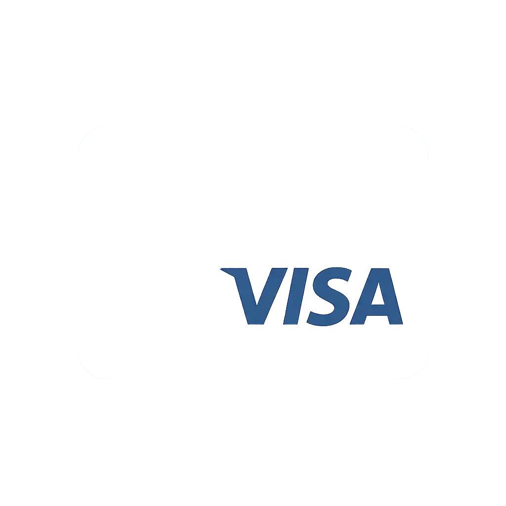 Visa icon
